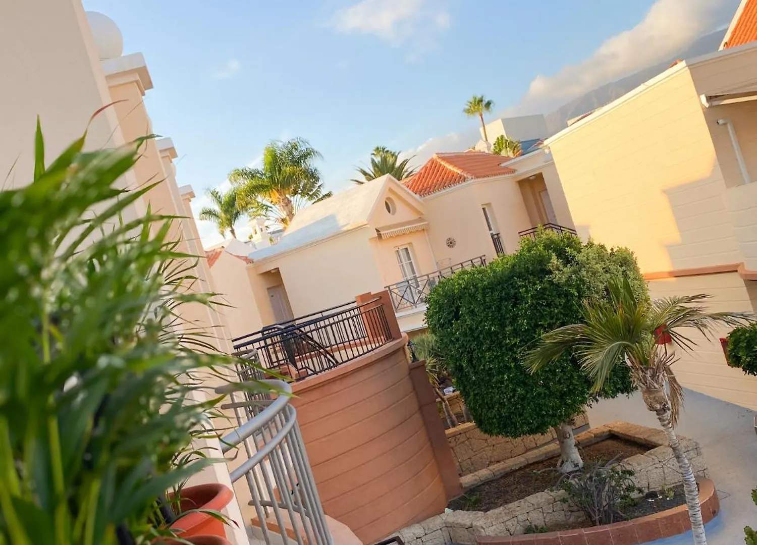 Casa Simba - Costa Adeje - Playa Fanabe - Yucca Park Διαμέρισμα 0*, Costa Adeje (Tenerife) Ισπανία